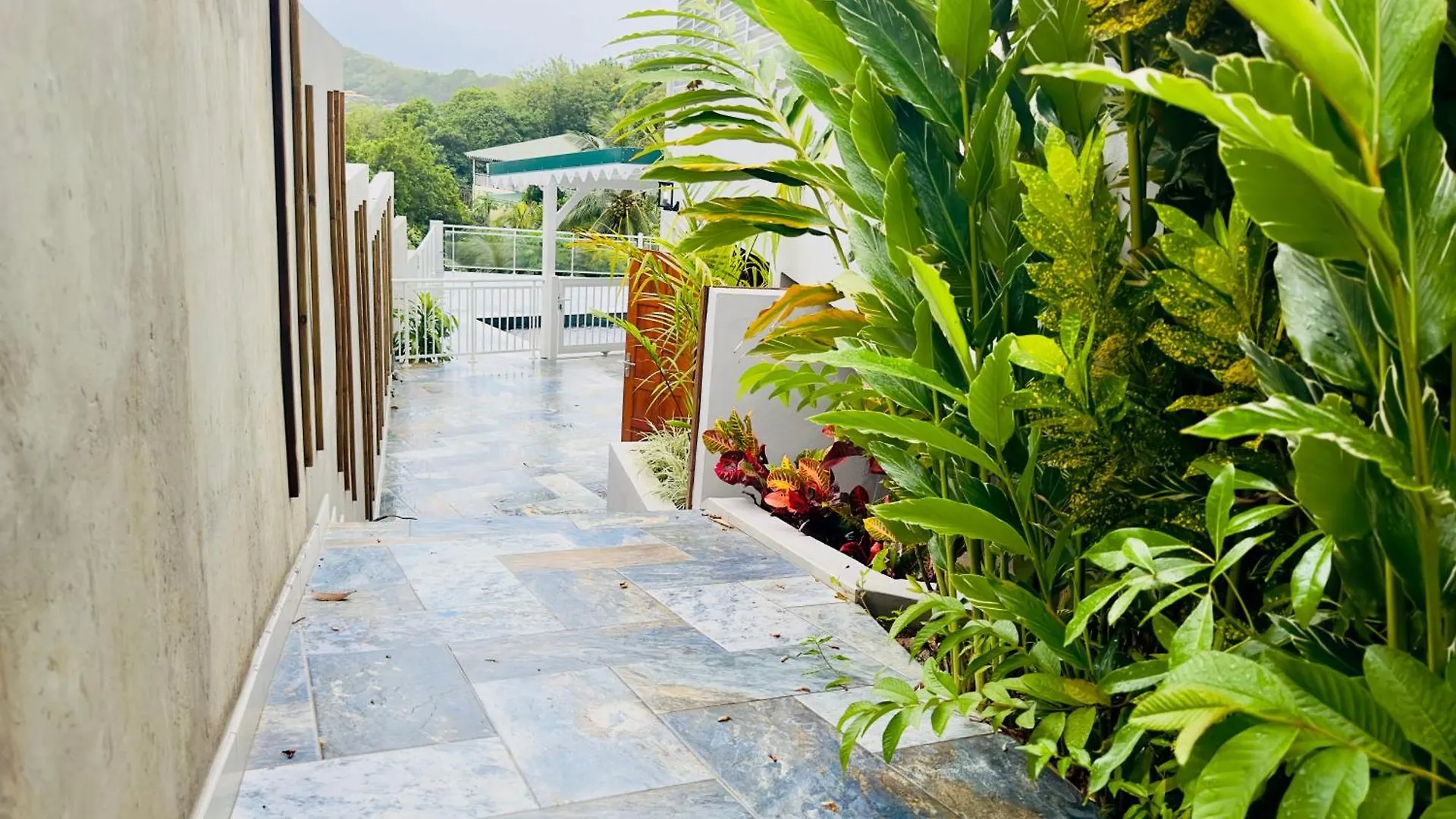 Dom wakacyjny Maison T3 Nid Bleu - Piscine Privee Le Marin